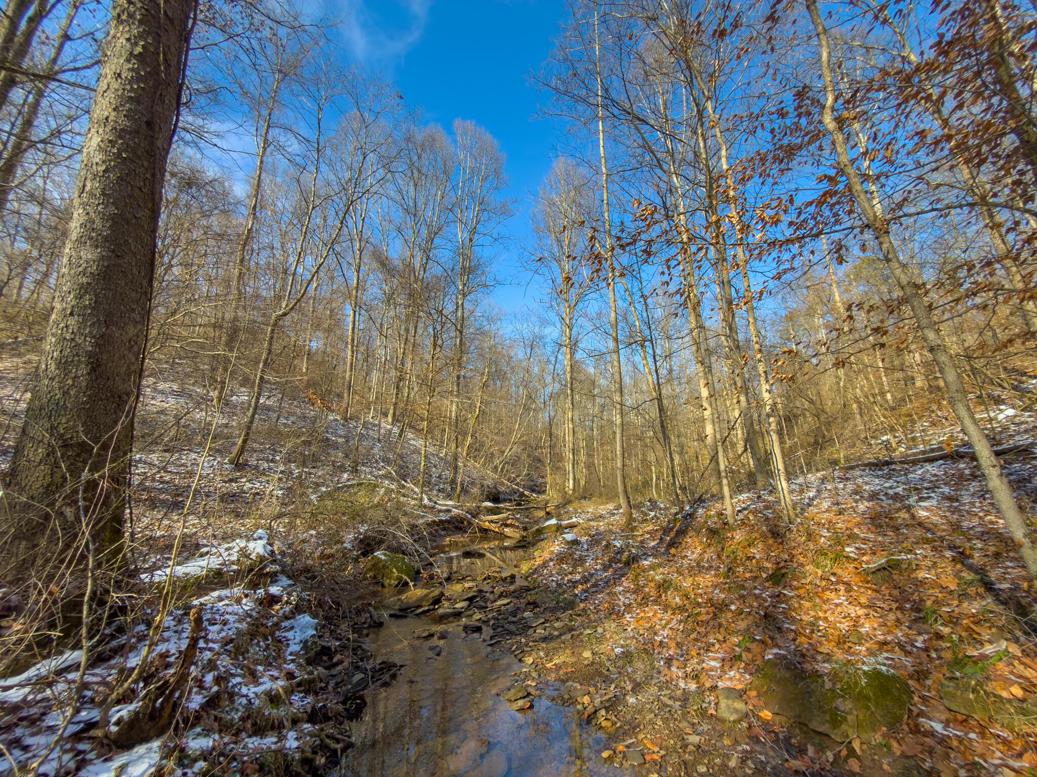 5230 Null Road Coolville, OH 45723 - Photo 36 of 54 Long fork rd.-72