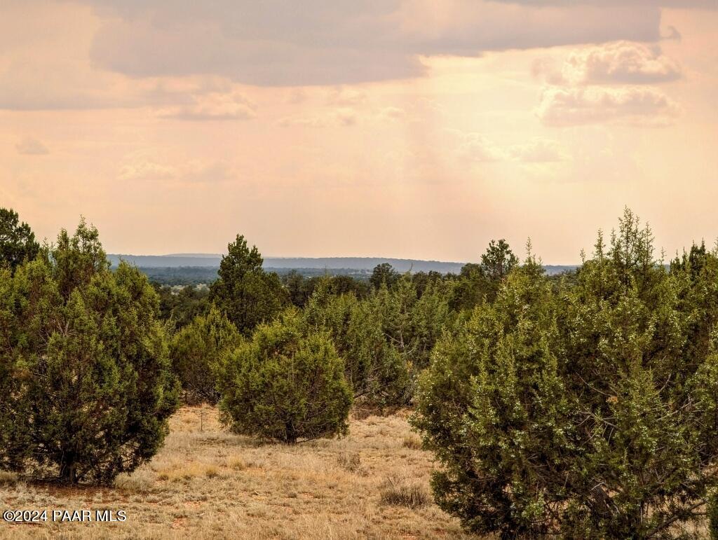 333 Stewart Road Seligman, AZ 86337 - Photo 1 of 6 a view of a large yard with a large tree