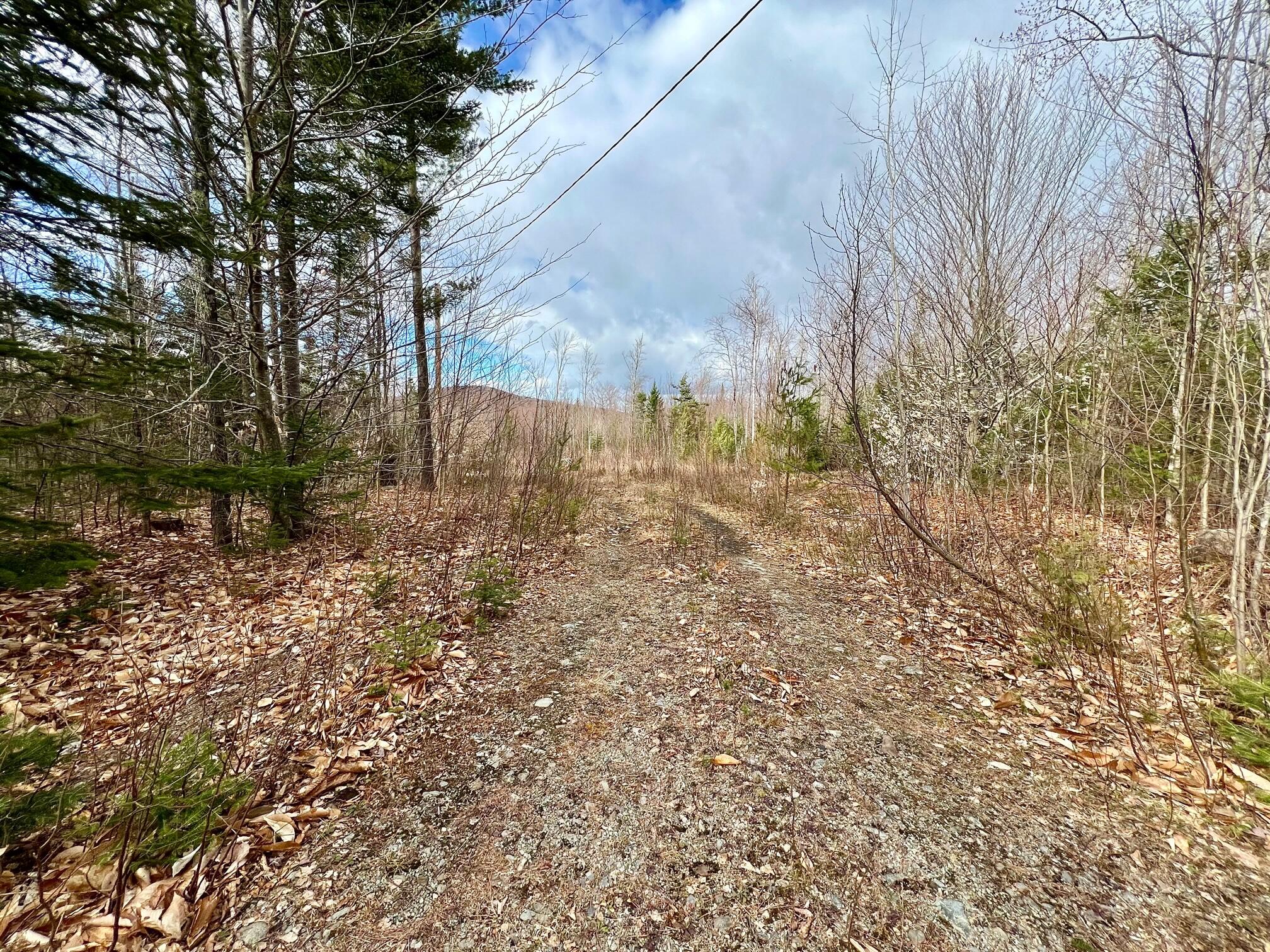 156 Bailey Road Industry, ME 04938 - Photo 12 of 13 IMG_7179
