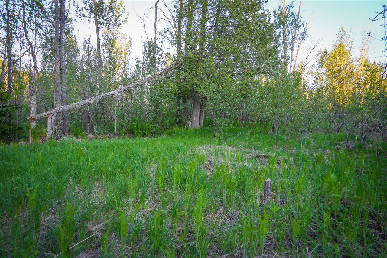 V/l V/l 33rd Road Gladstone, MI 49837 - Photo 49 of 70