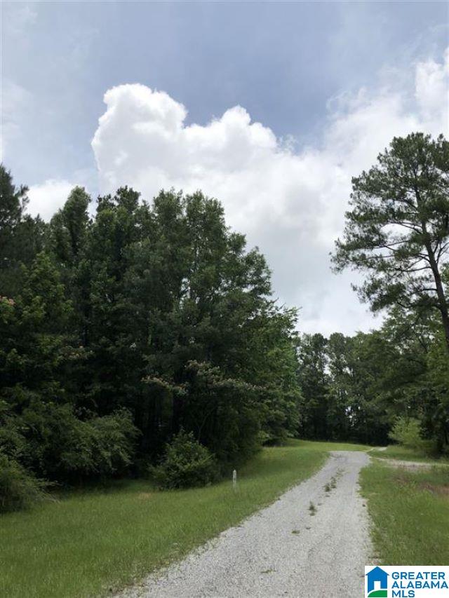 0 13th Street, Unit DUNSTANS Calera, AL 35040 - Photo 2 of 4