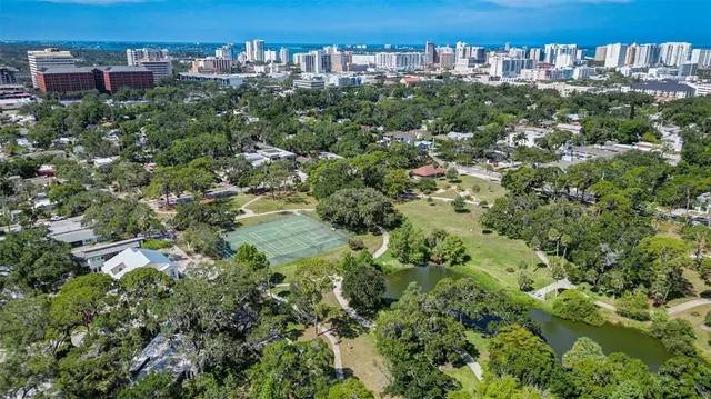 a view of a bunch of trees and buildings