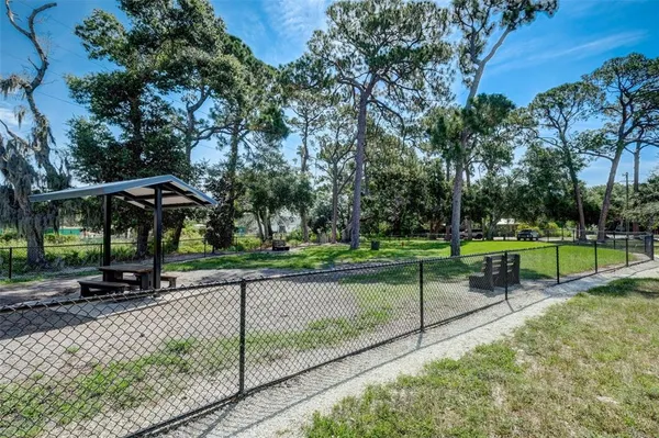 a park view with a bench and trees