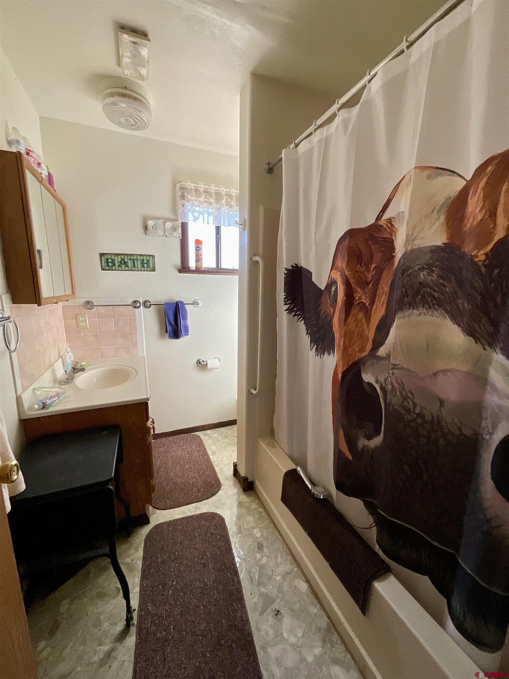 20261 3100th Road Hotchkiss, CO 81419 - Photo 11 of 41 a bathroom with a sink and a mirror