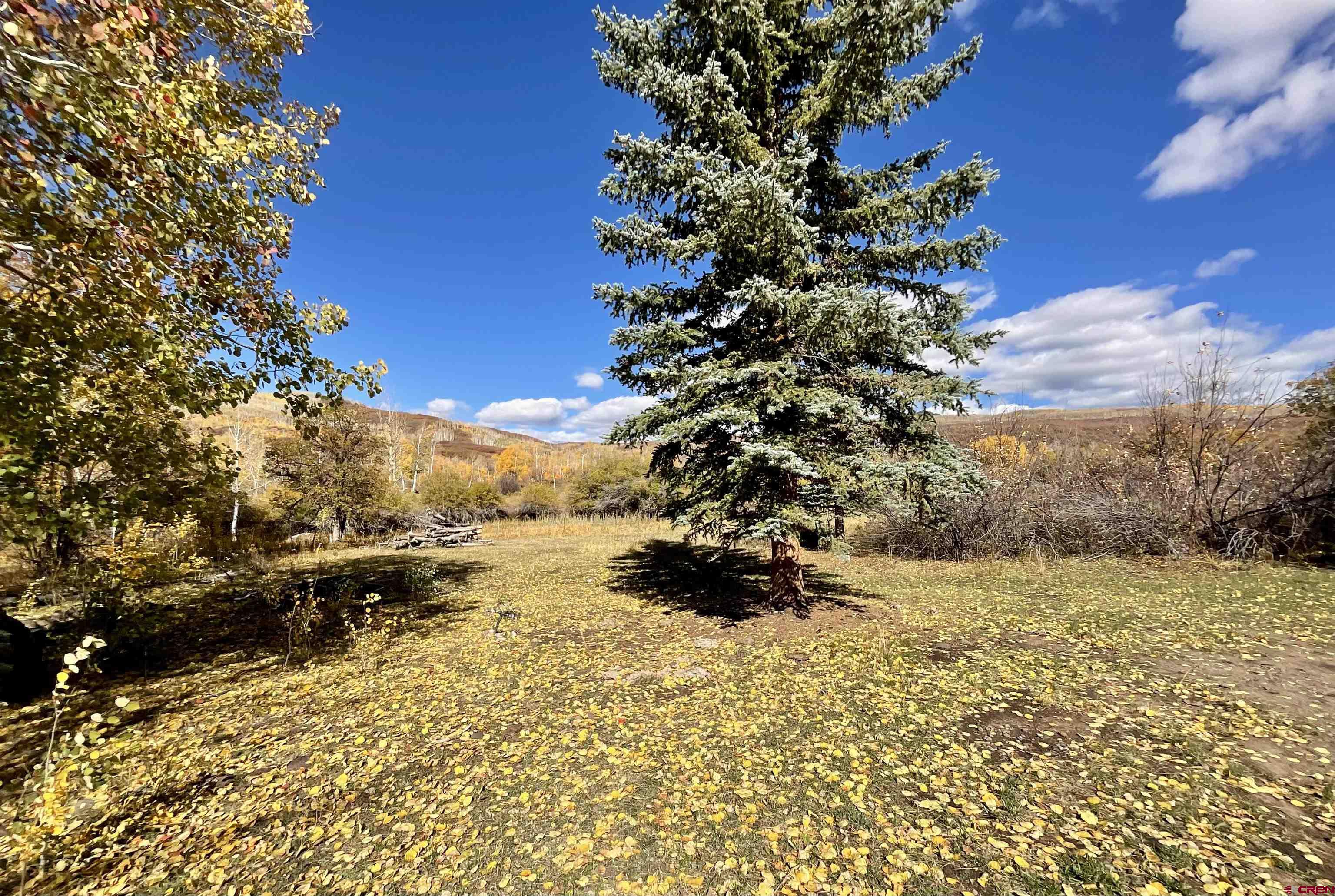 20261 3100th Road Hotchkiss, CO 81419 - Photo 23 of 41 a view of a yard