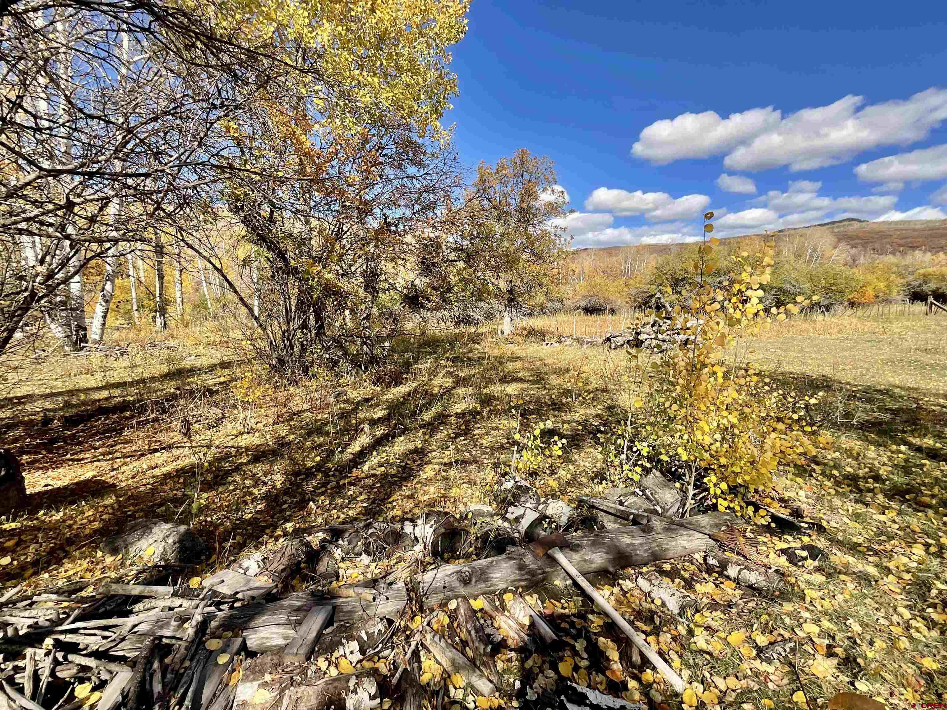 20261 3100th Road Hotchkiss, CO 81419 - Photo 25 of 41