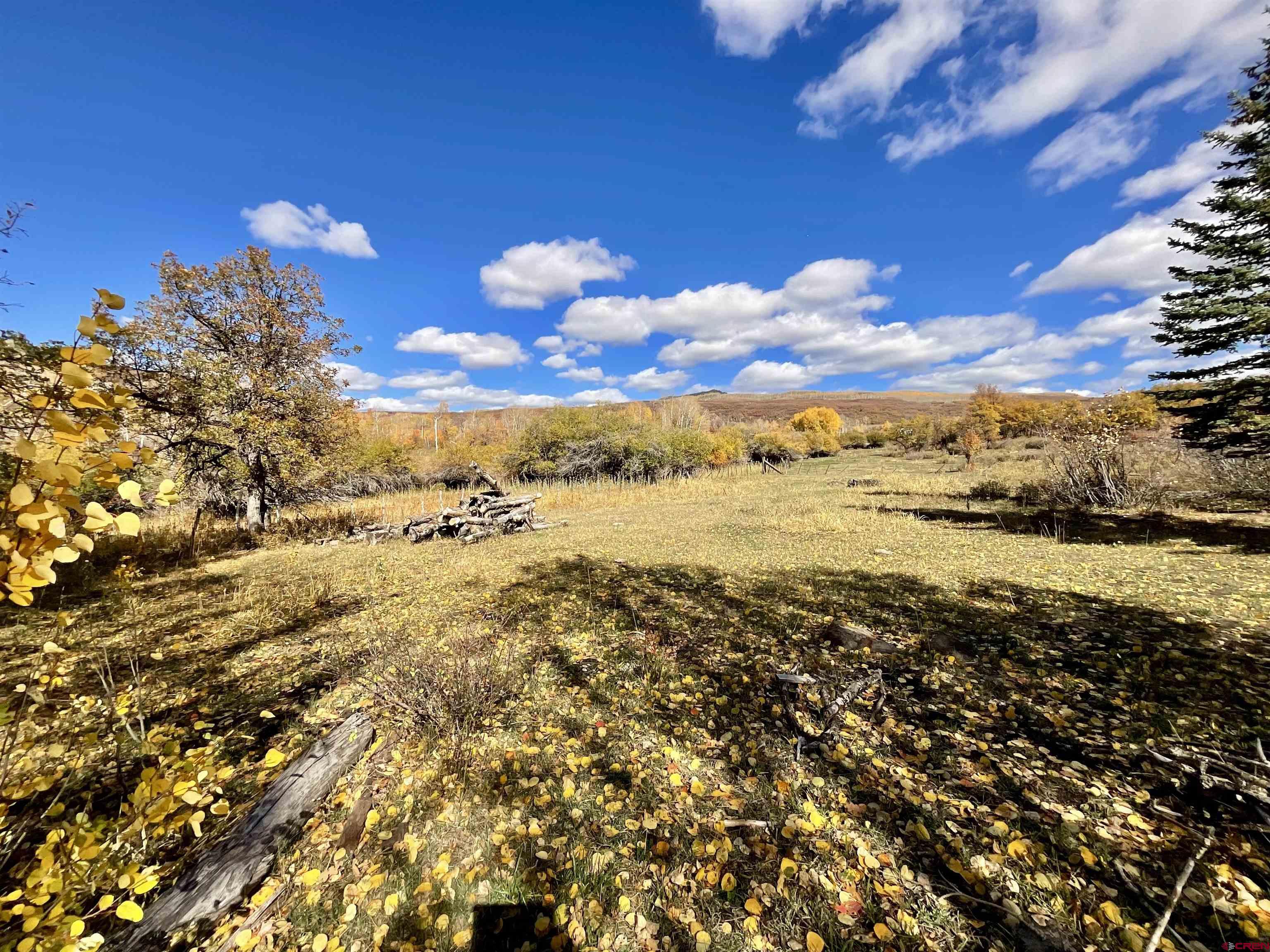 20261 3100th Road Hotchkiss, CO 81419 - Photo 27 of 41 a view of a yard with an outdoor space