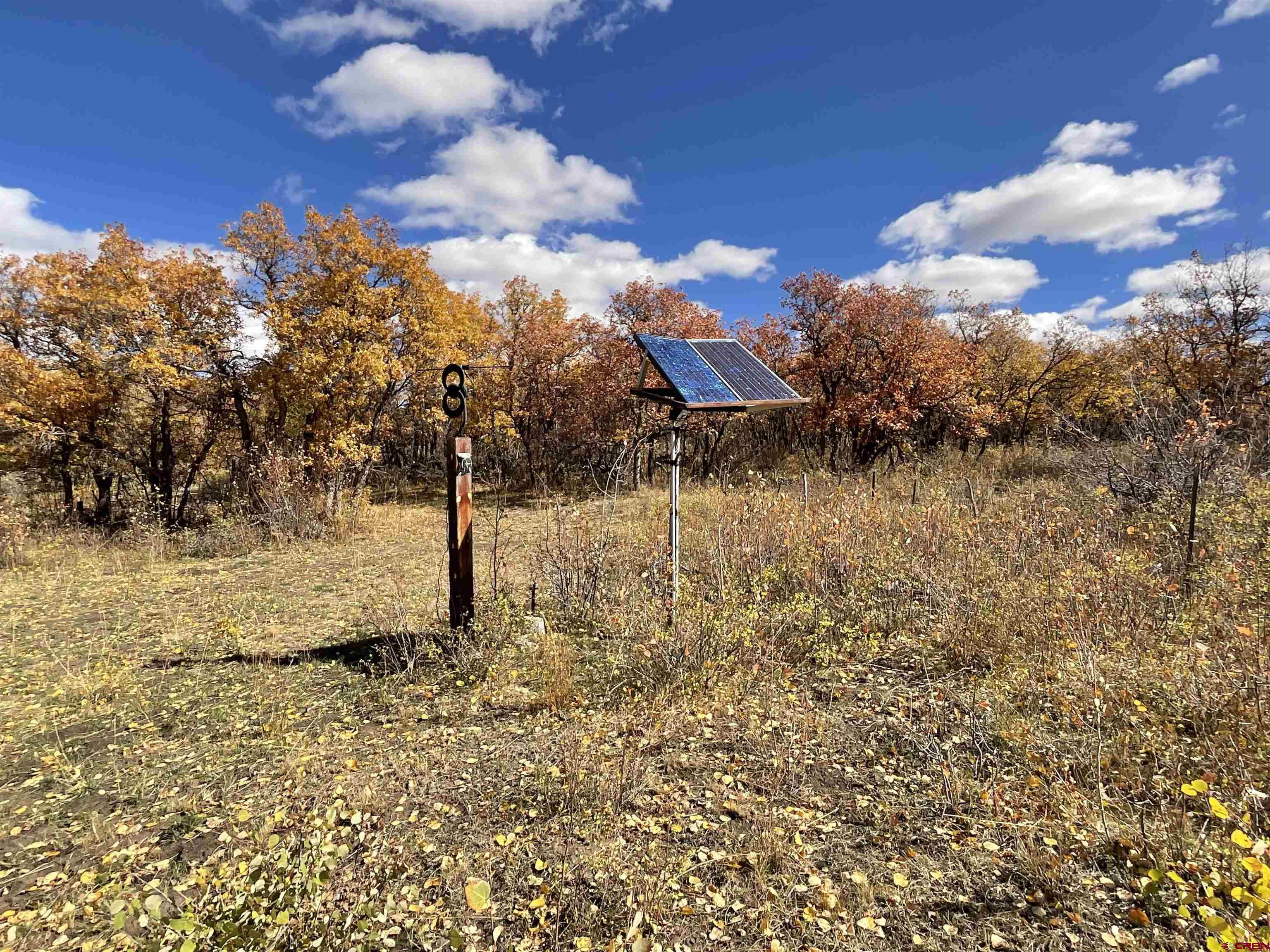 20261 3100th Road Hotchkiss, CO 81419 - Photo 30 of 41 a view of a yard with trees