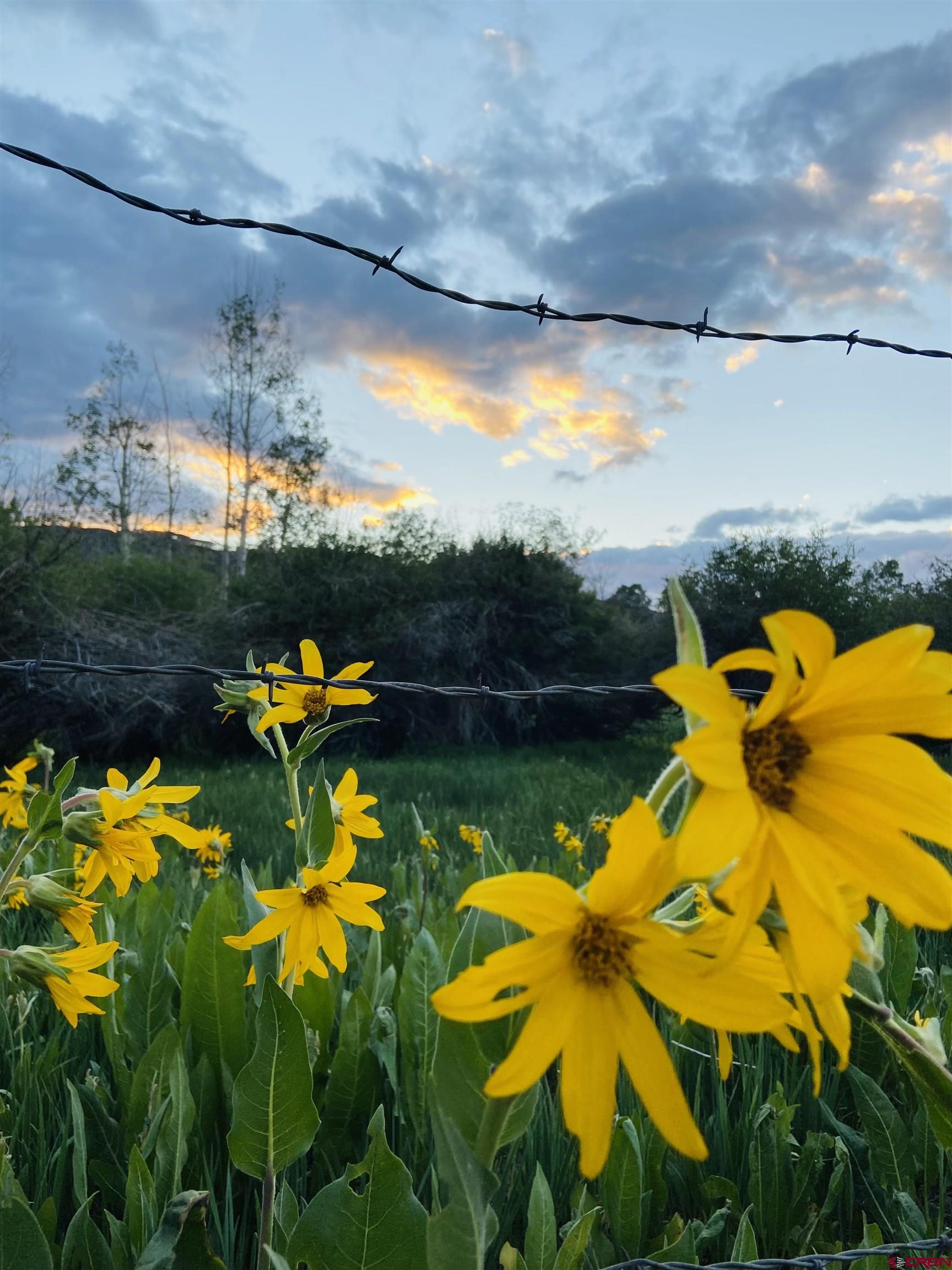 20261 3100th Road Hotchkiss, CO 81419 - Photo 36 of 41 a view of a lake in middle of the house