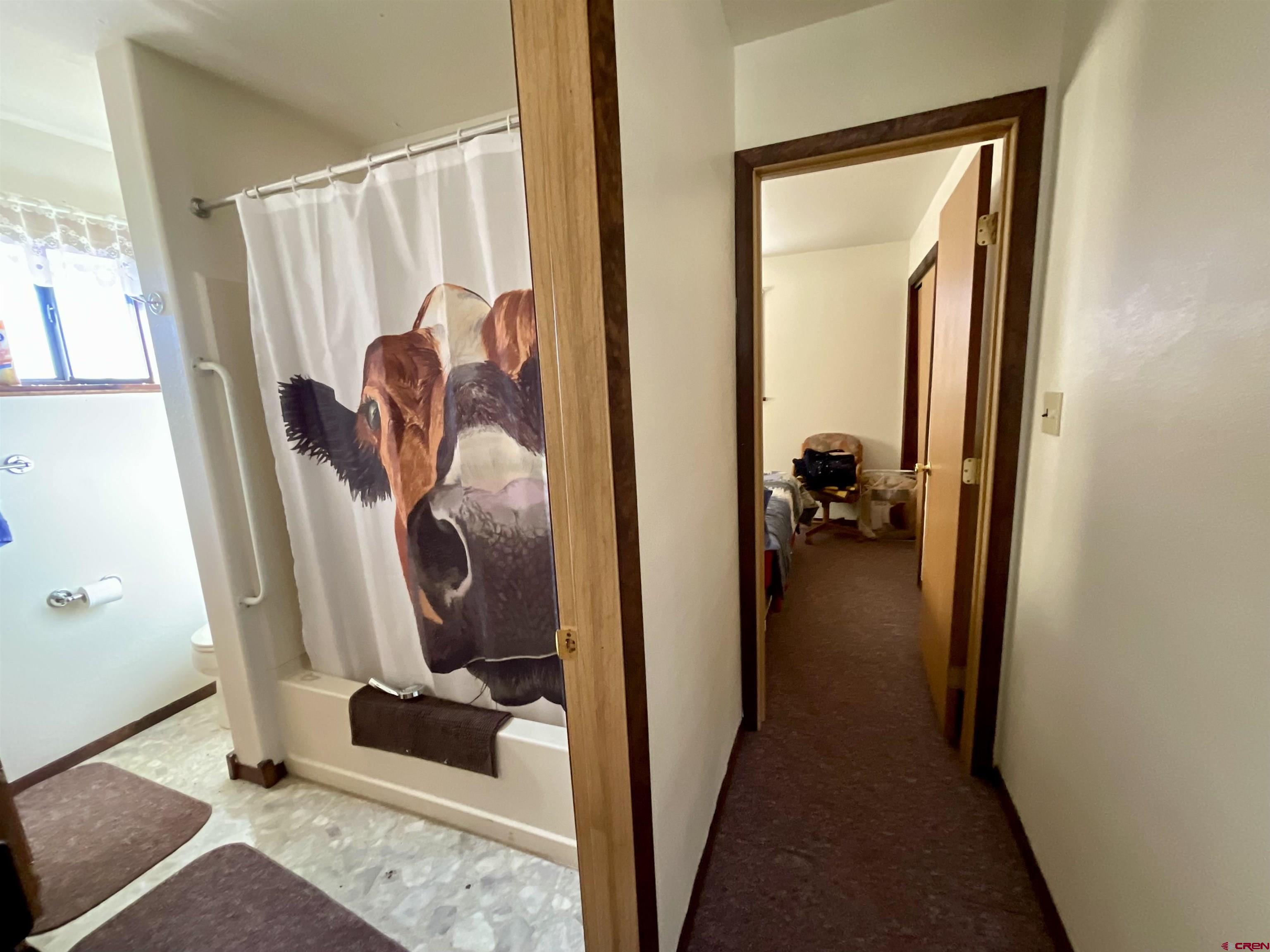 20261 3100th Road Hotchkiss, CO 81419 - Photo 9 of 41 a view of a hallway with wooden floor and a couch