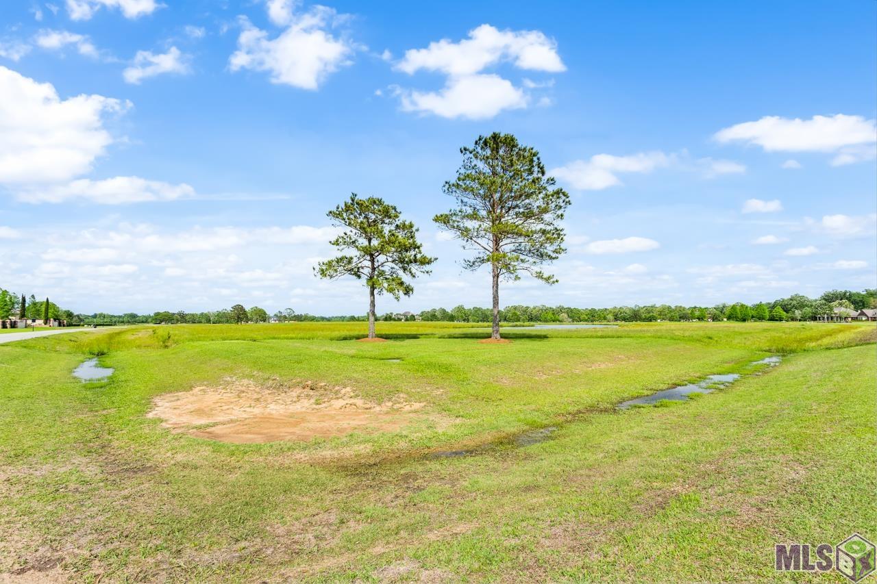 21919 Rabbit Run Drive Baton Rouge, LA 70817 - Photo 11 of 13
