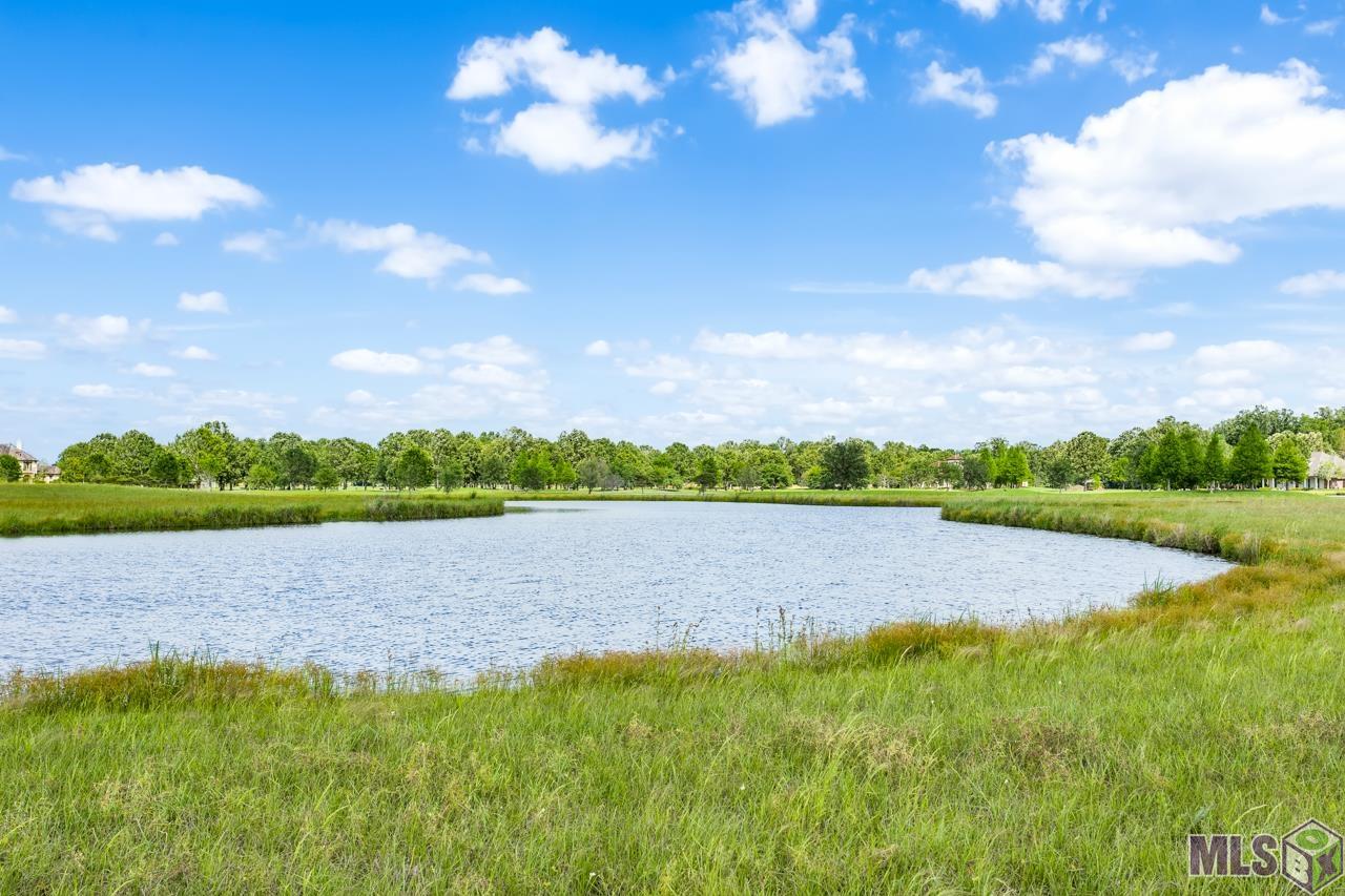 21919 Rabbit Run Drive Baton Rouge, LA 70817 - Photo 12 of 13
