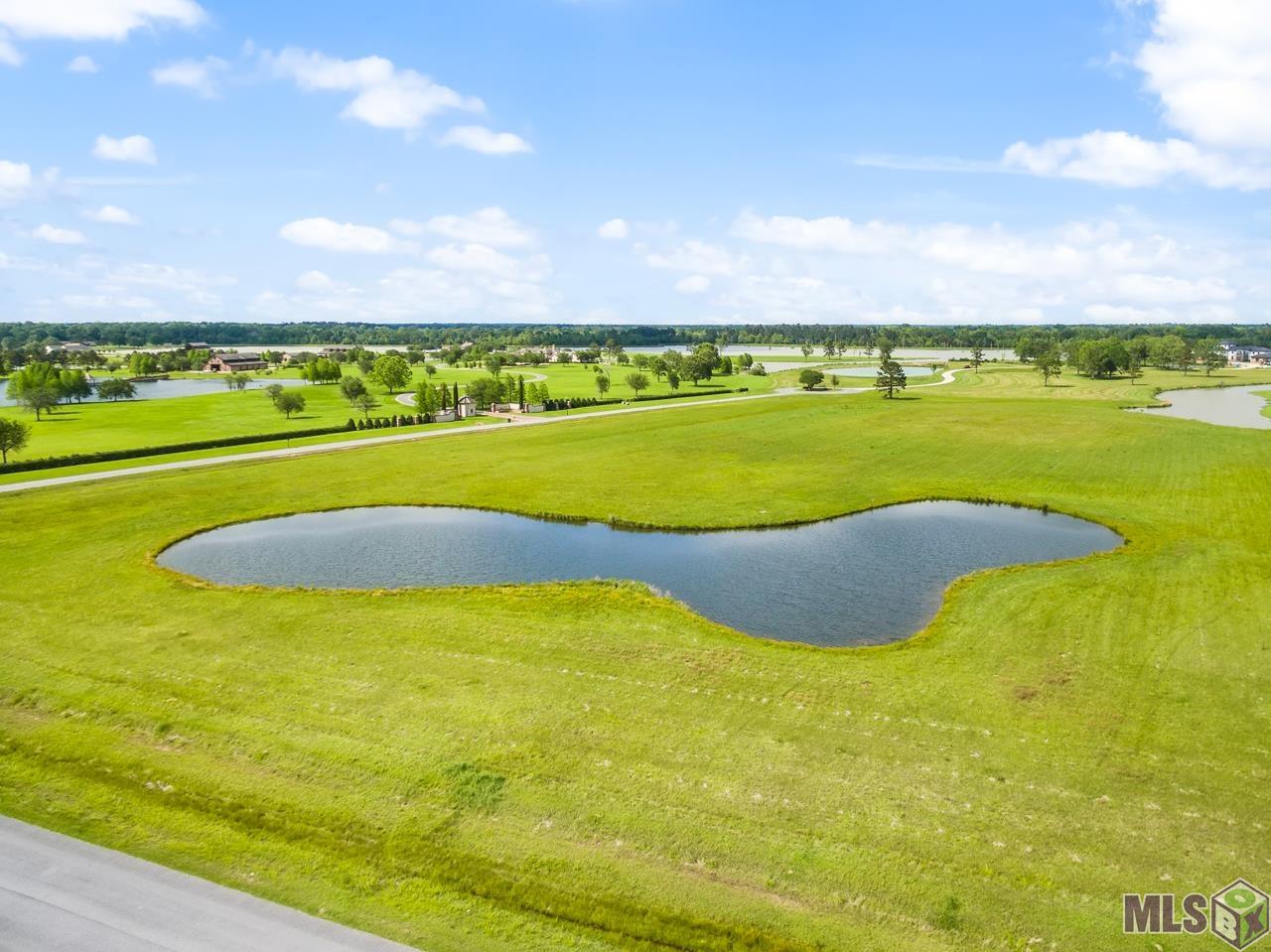21919 Rabbit Run Drive Baton Rouge, LA 70817 - Photo 2 of 13
