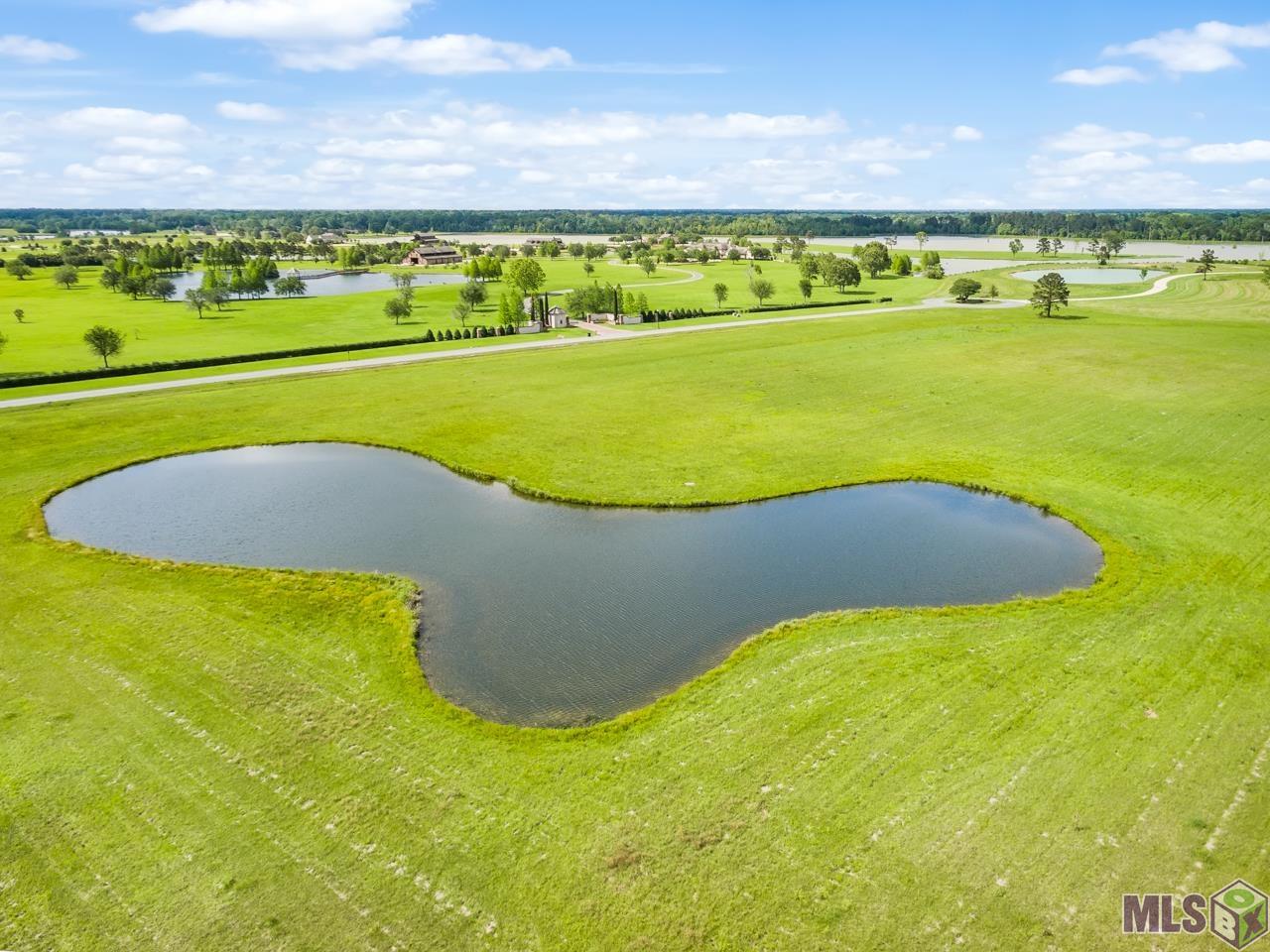 21919 Rabbit Run Drive Baton Rouge, LA 70817 - Photo 3 of 13