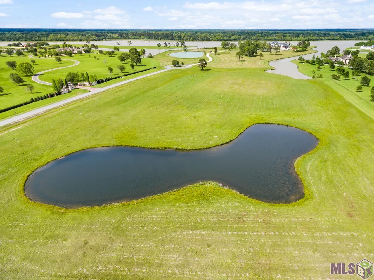 21919 Rabbit Run Drive Baton Rouge, LA 70817 - Photo 4 of 13