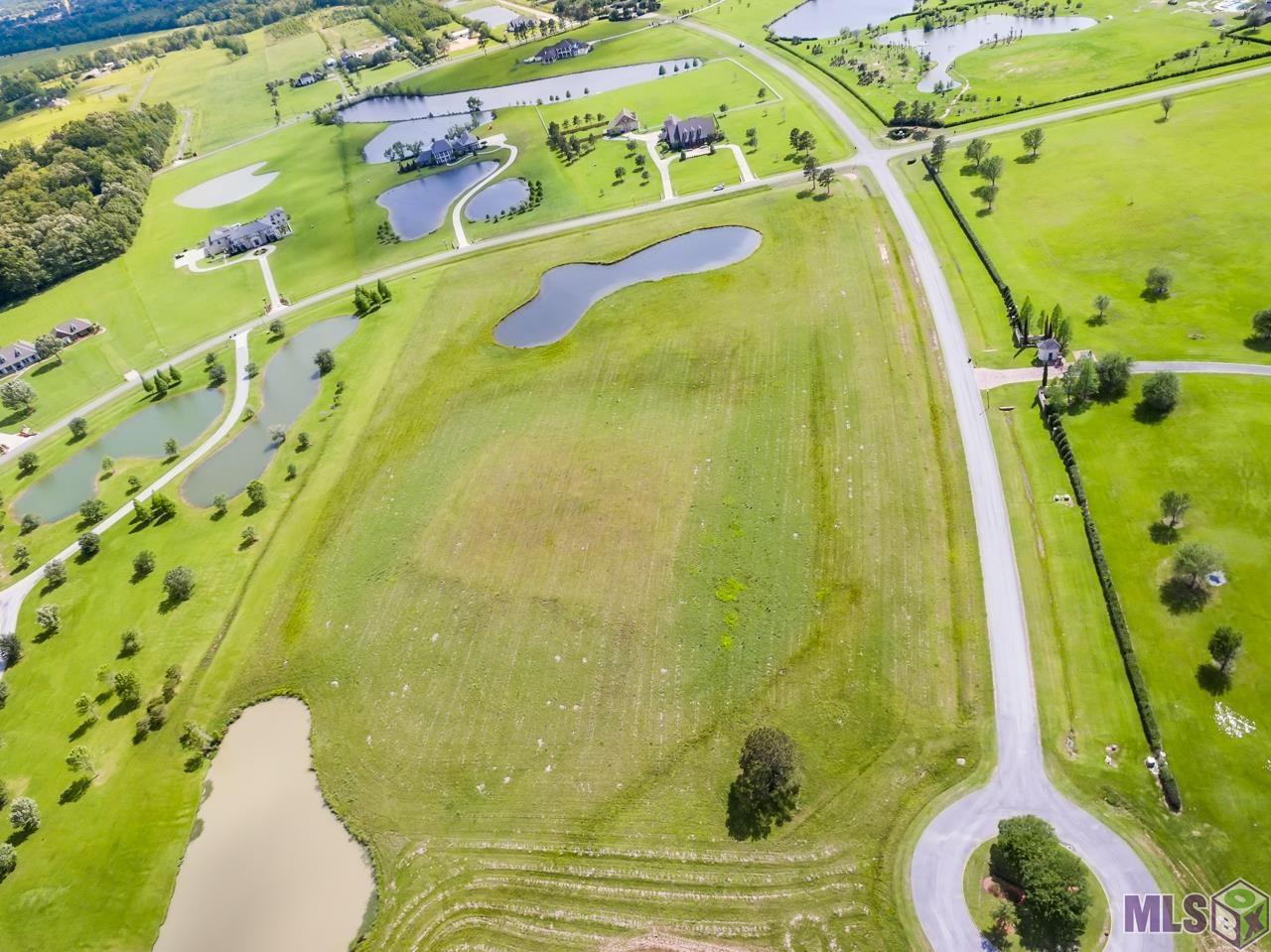 21919 Rabbit Run Drive Baton Rouge, LA 70817 - Photo 5 of 13