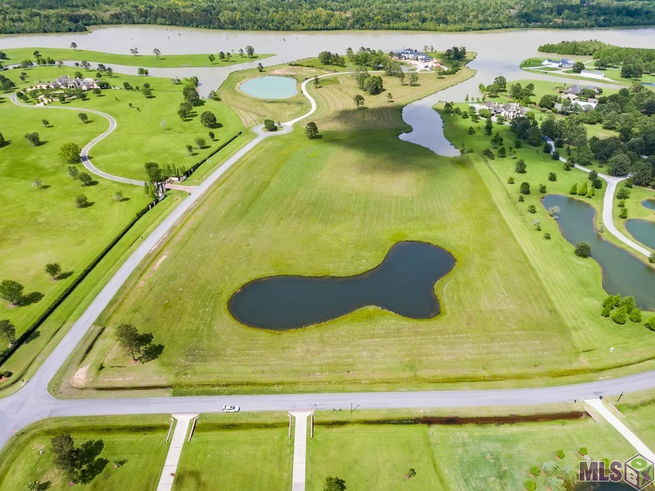 21919 Rabbit Run Drive Baton Rouge, LA 70817 - Photo 6 of 13