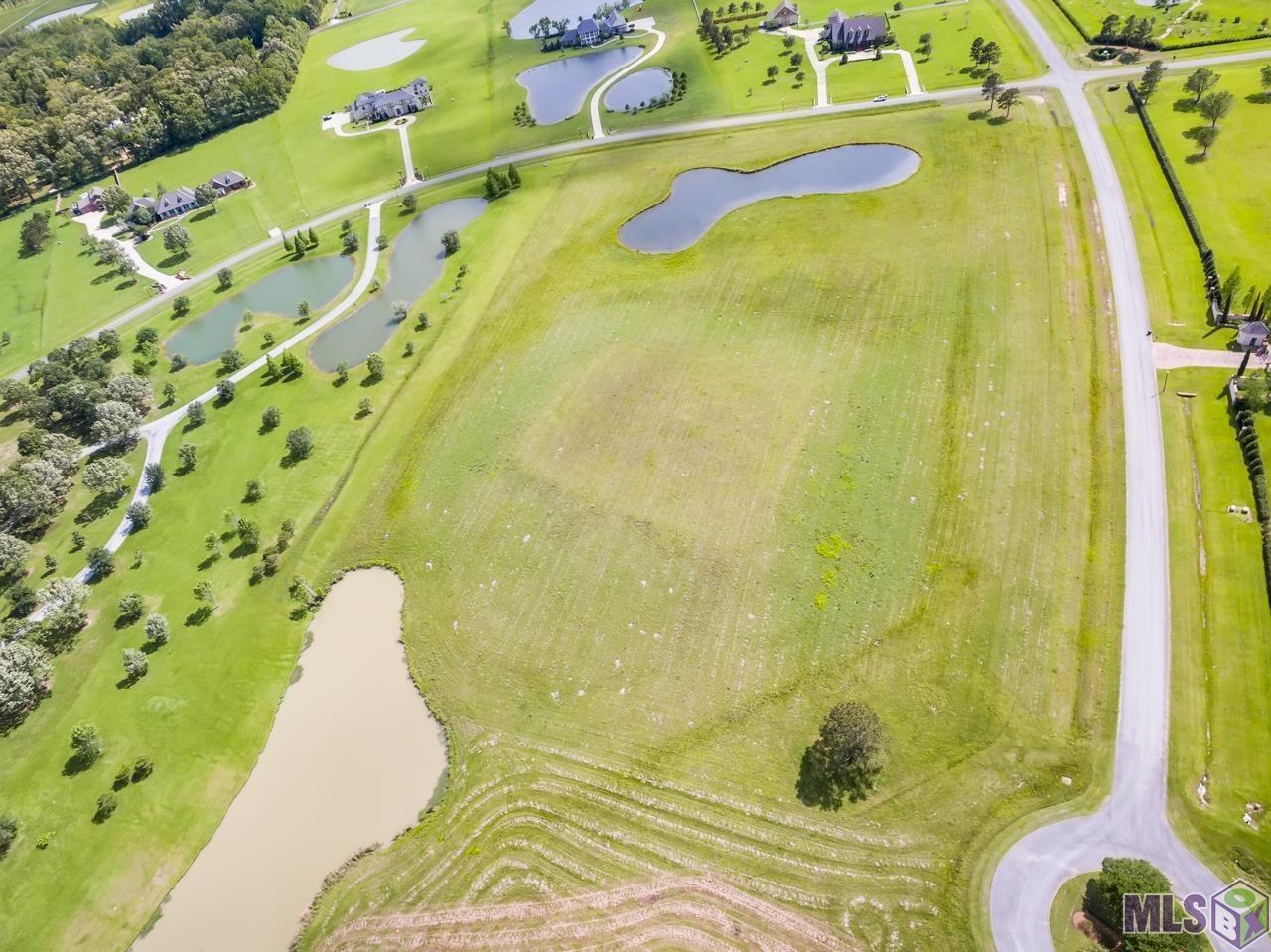 21919 Rabbit Run Drive Baton Rouge, LA 70817 - Photo 7 of 13