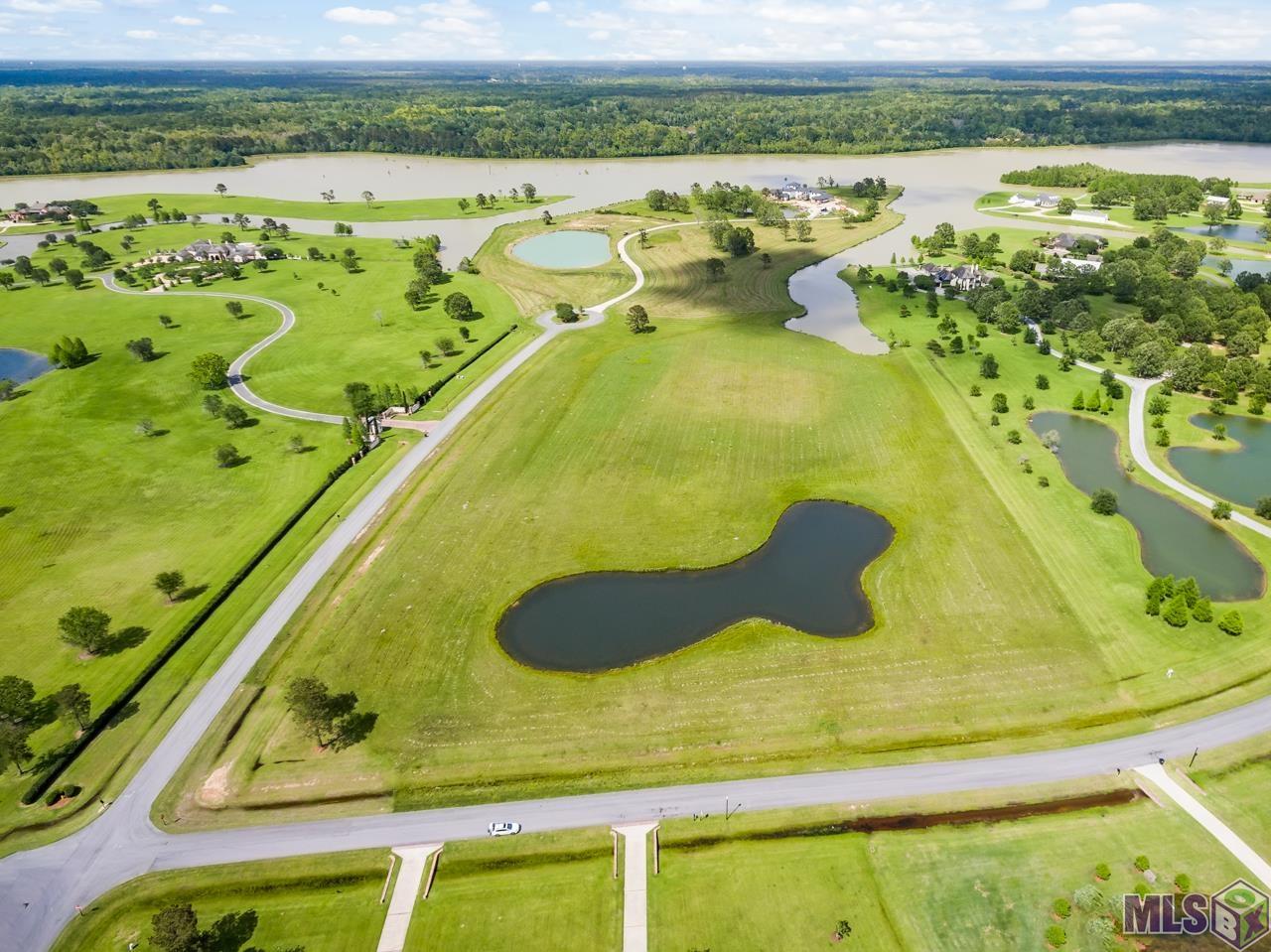21919 Rabbit Run Drive Baton Rouge, LA 70817 - Photo 8 of 13