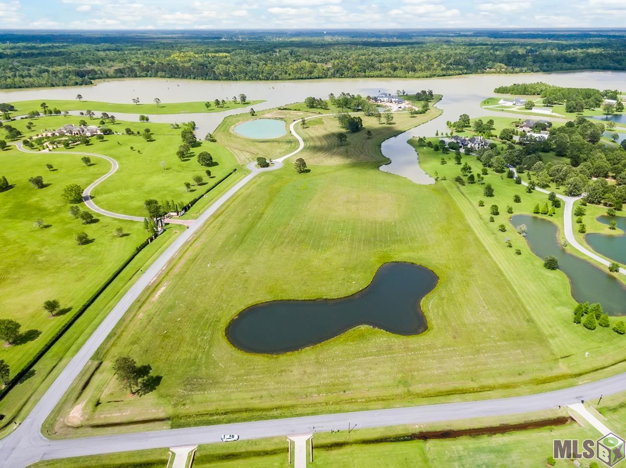 21919 Rabbit Run Drive Baton Rouge, LA 70817 - Photo 9 of 13