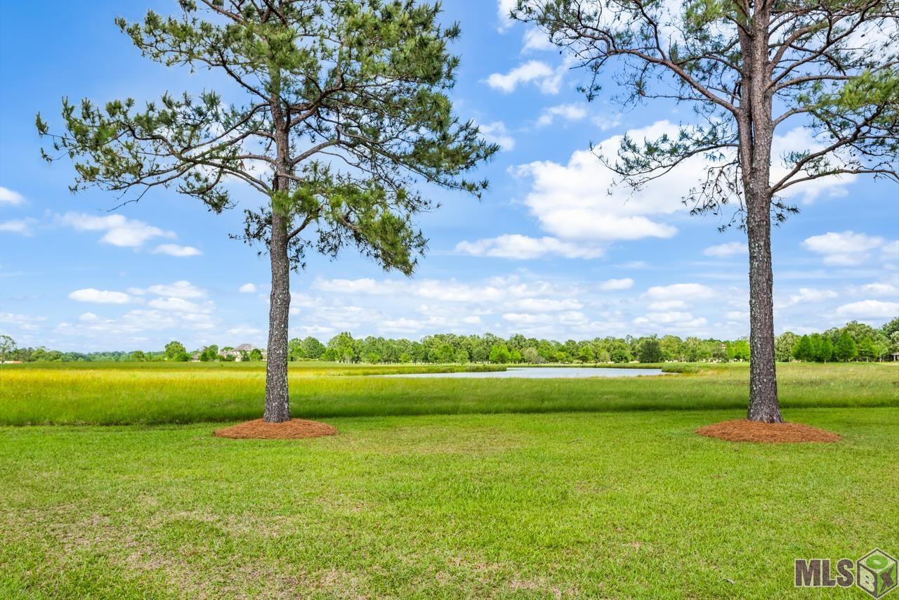21919 Rabbit Run Drive Baton Rouge, LA 70817 - Photo 10 of 13