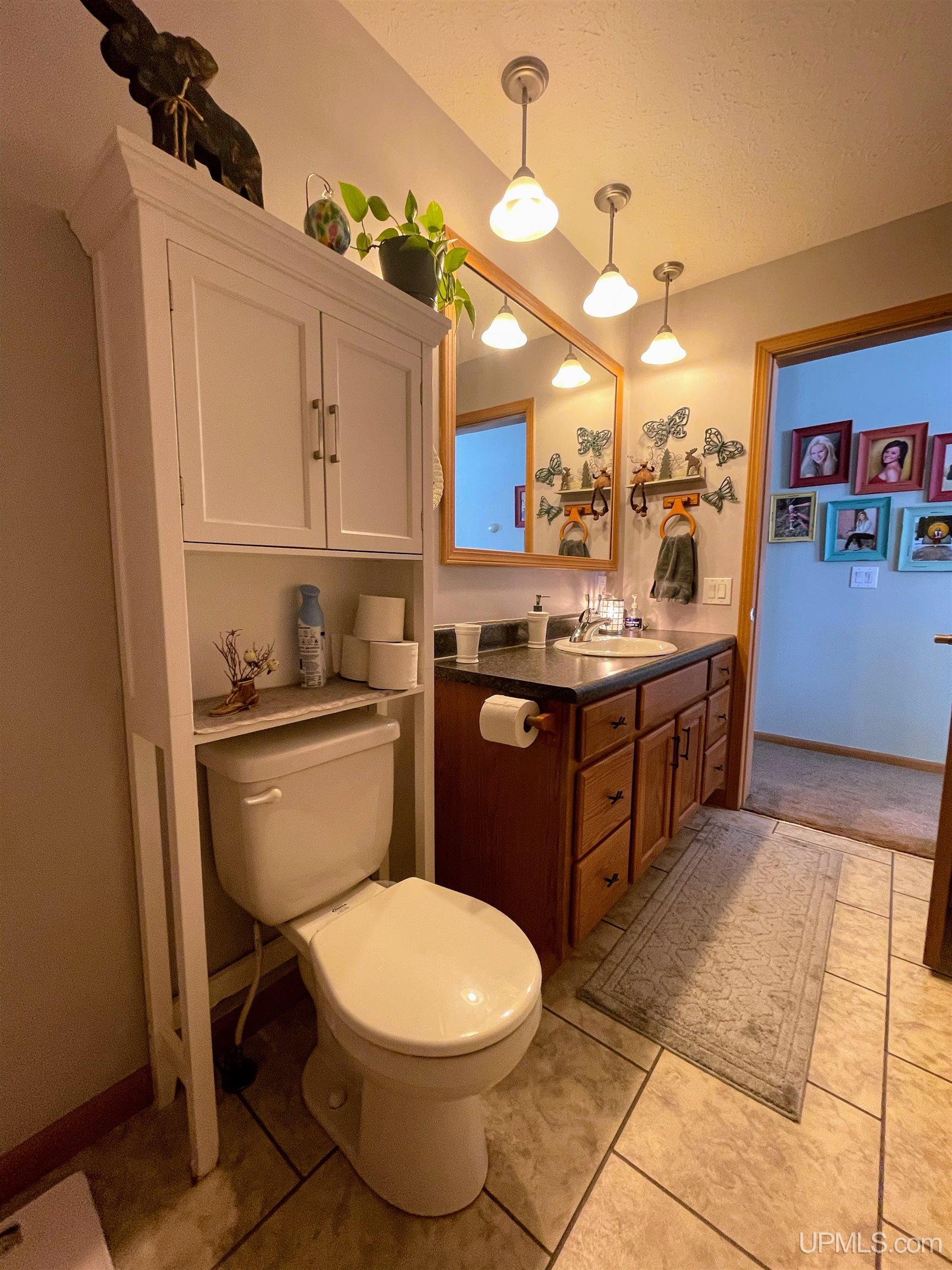 32399 West Piatt Lake Road Eckerman, MI 49728 - Photo 31 of 49