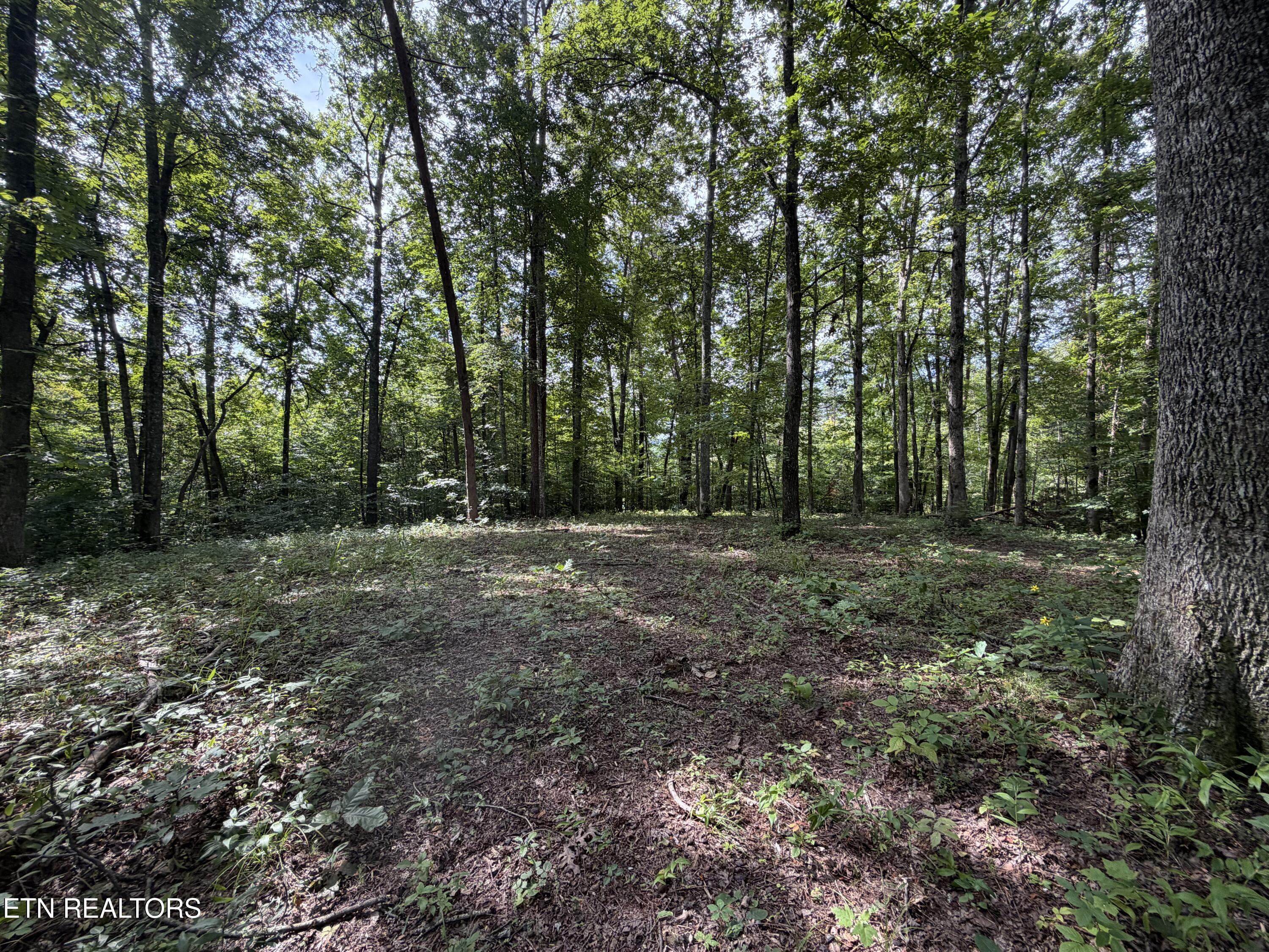 2544 Hinds Creek Road Heiskell, TN 37754 - Photo 10 of 27 IMG_0436