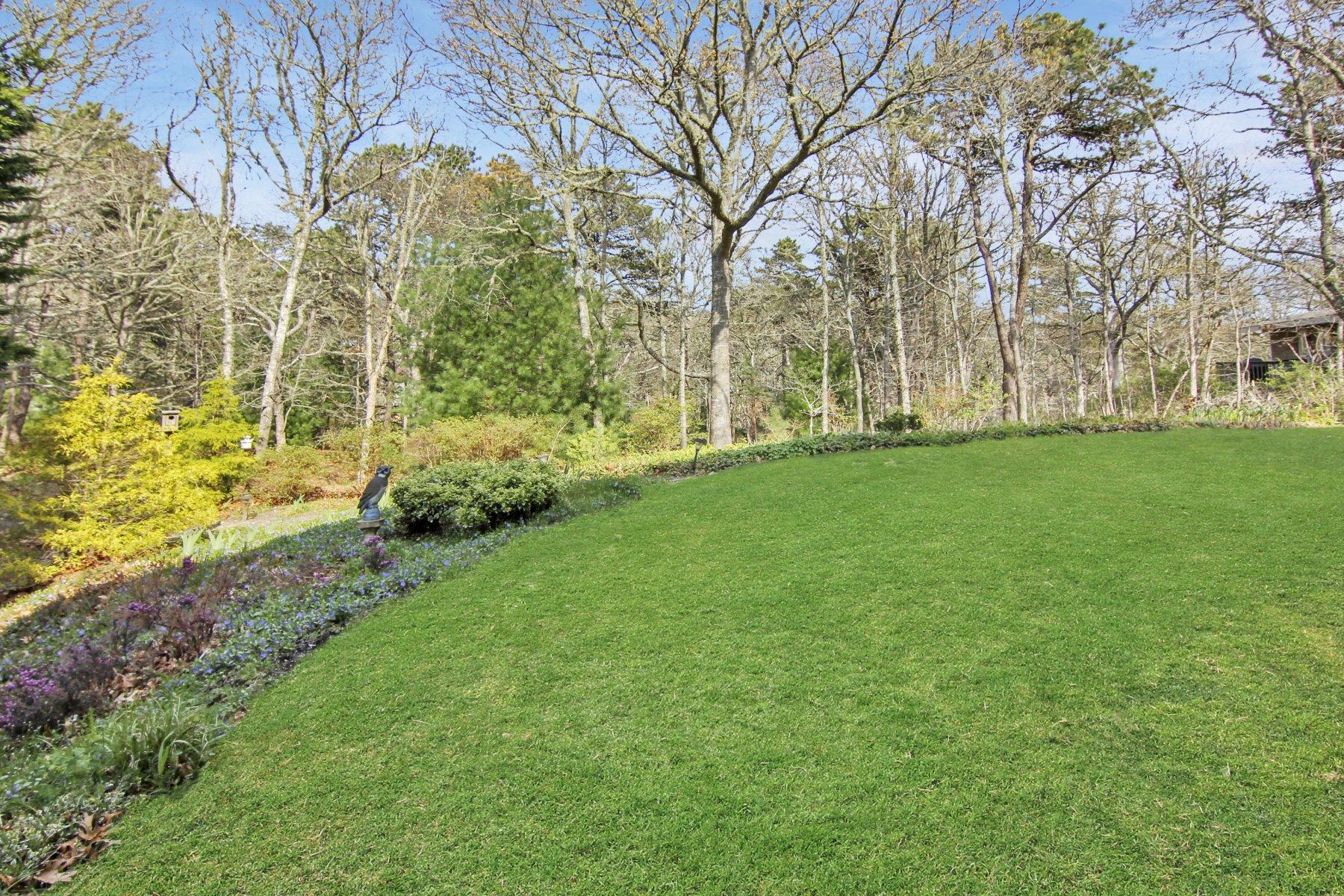 230 Chippingstone Road Chatham, MA 02633 - Photo 6 of 38 a backyard of a house with lots of green space
