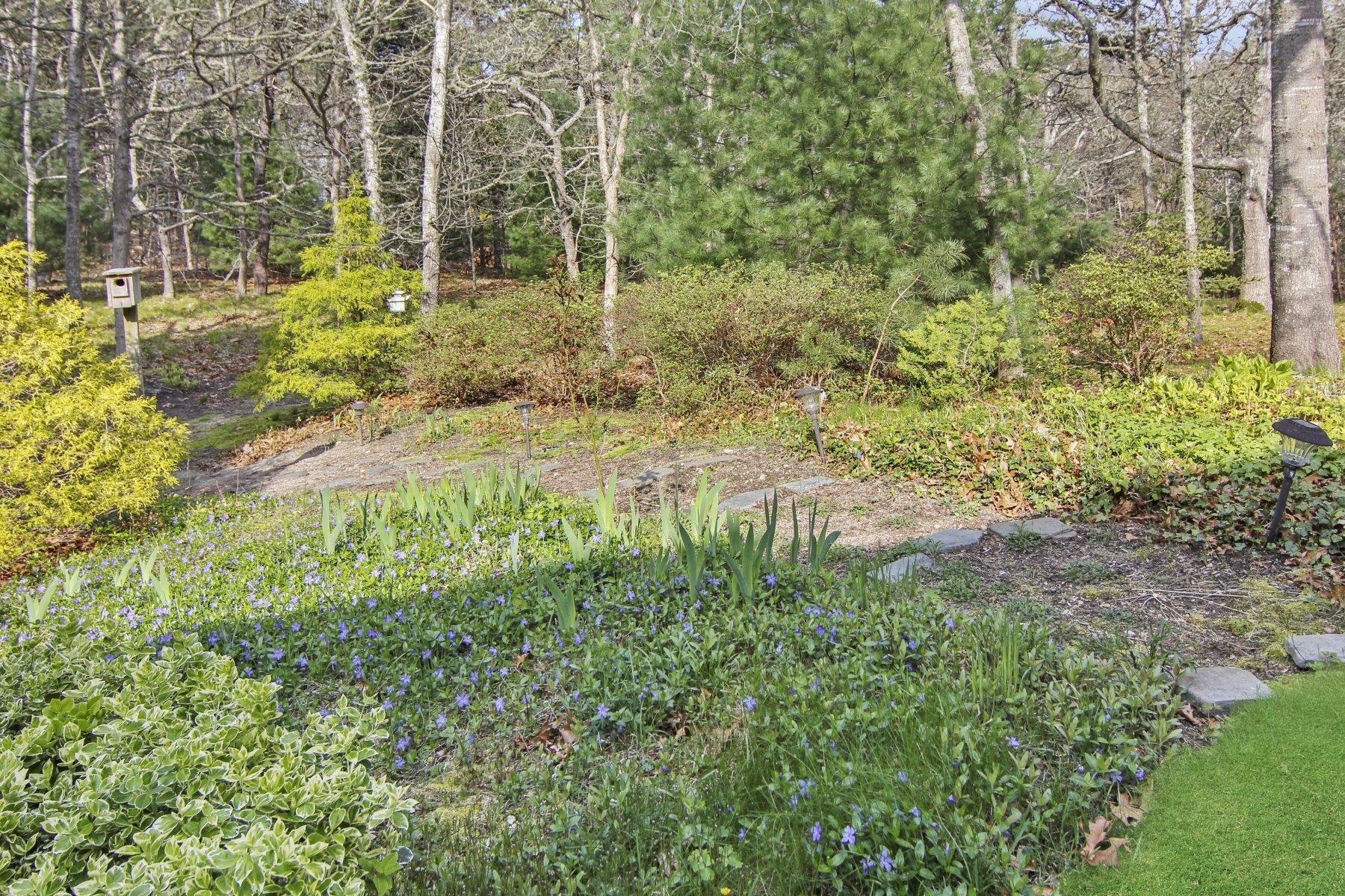 230 Chippingstone Road Chatham, MA 02633 - Photo 7 of 38 a view of a yard with plants and large trees