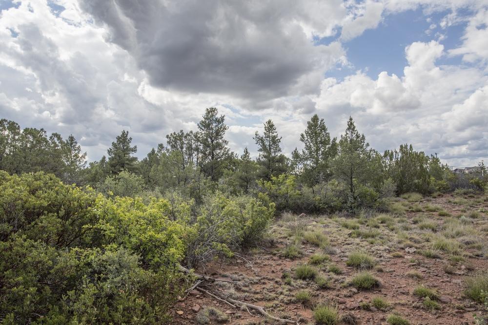 1200 West Airport Road Payson, AZ 85541 - Photo 36 of 50