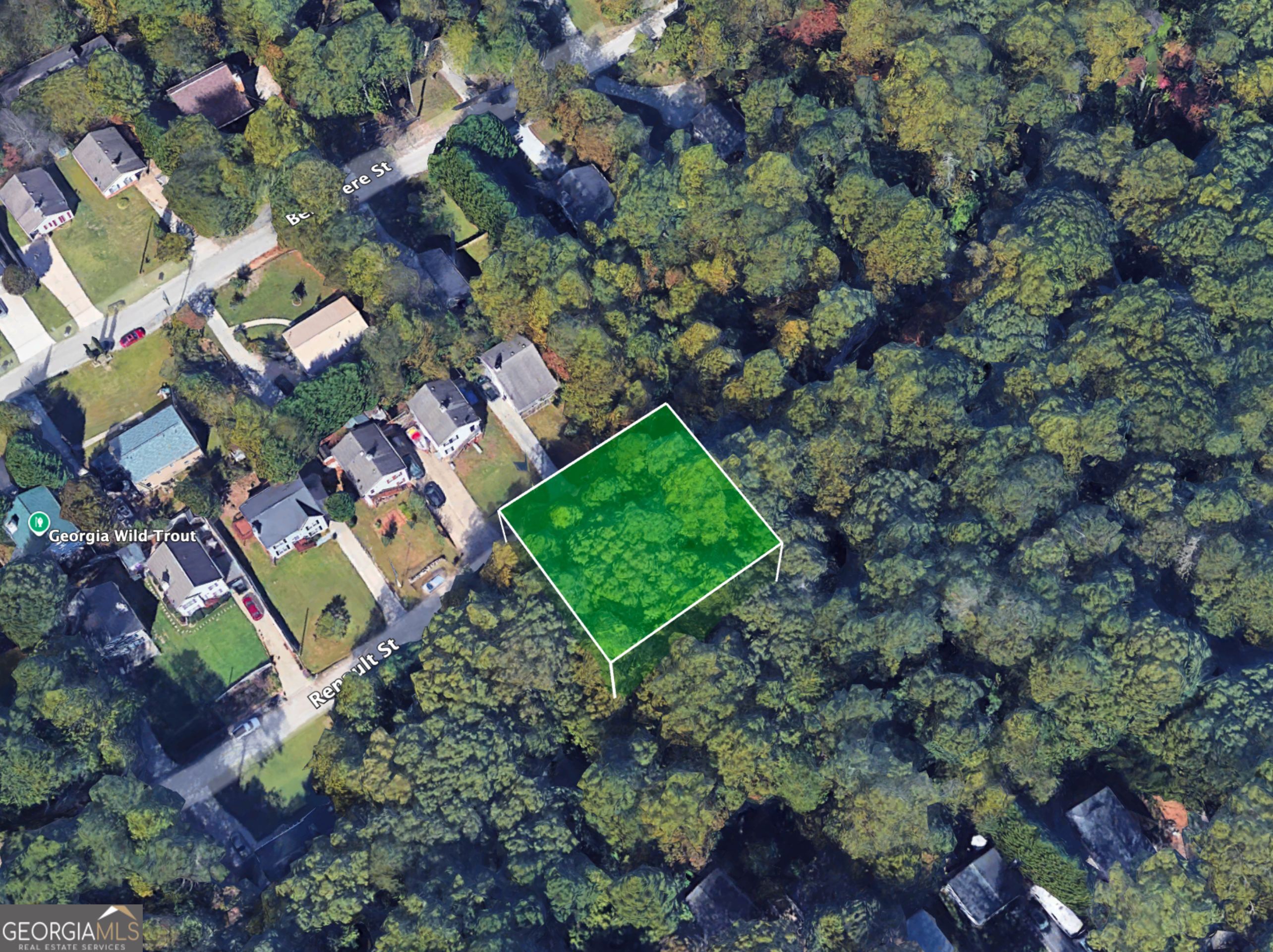 5380 Renault Street Cumming, GA 30041 - Photo 15 of 17 a green field with lots of flowers and trees