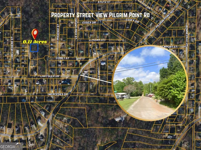 a close up of a tree