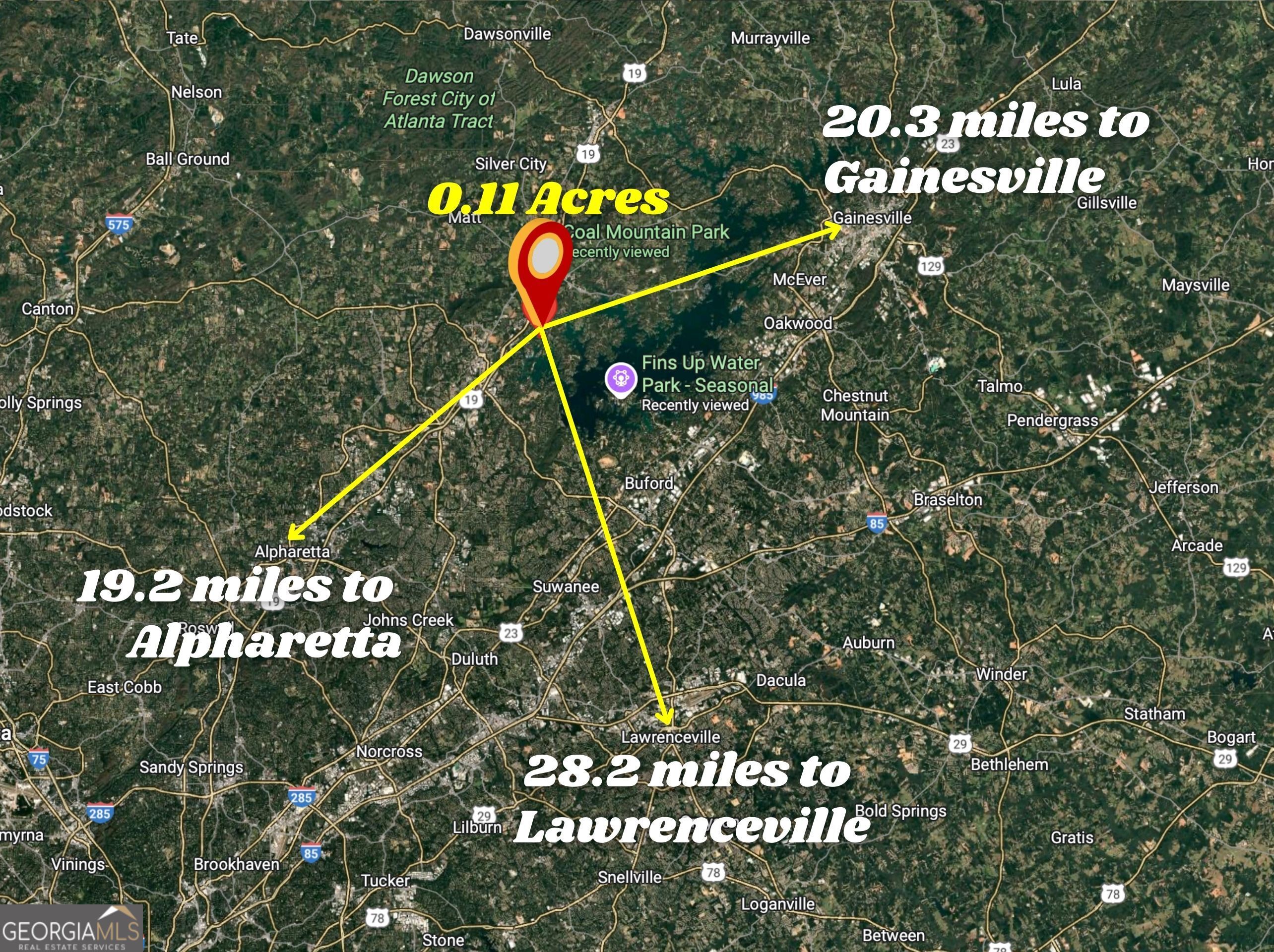 5380 Renault Street Cumming, GA 30041 - Photo 10 of 17 a close up of a tree