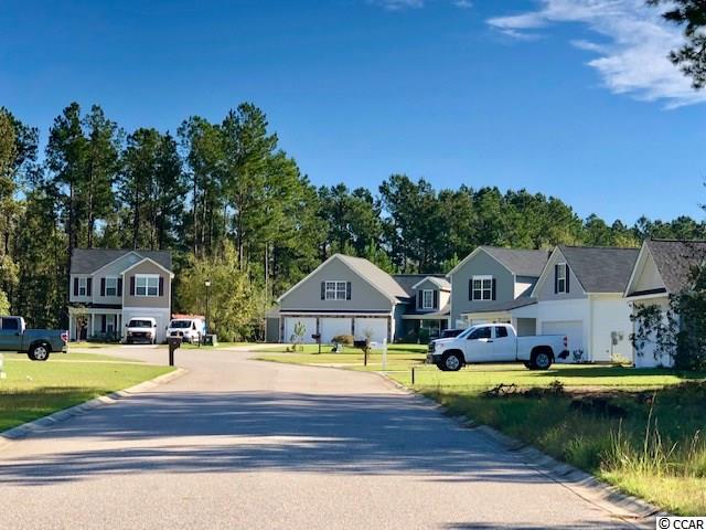 Lot 109 Winding Path Drive Loris, SC 29569 - Photo 3 of 5 Gallery Image 3
