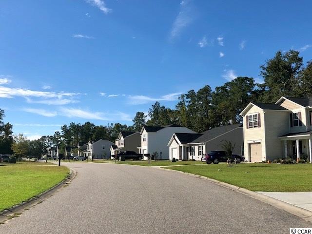 Lot 109 Winding Path Drive Loris, SC 29569 - Photo 4 of 5 Gallery Image 4