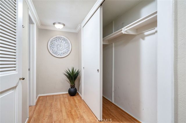 a bathroom with a granite countertop sink a potted plant and a shower