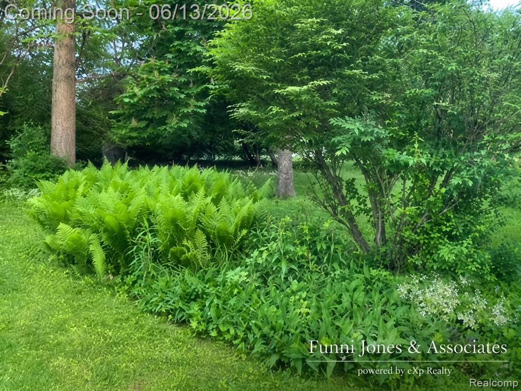 9552 Wayne Road Livonia, MI 48150 - Photo 22 of 23