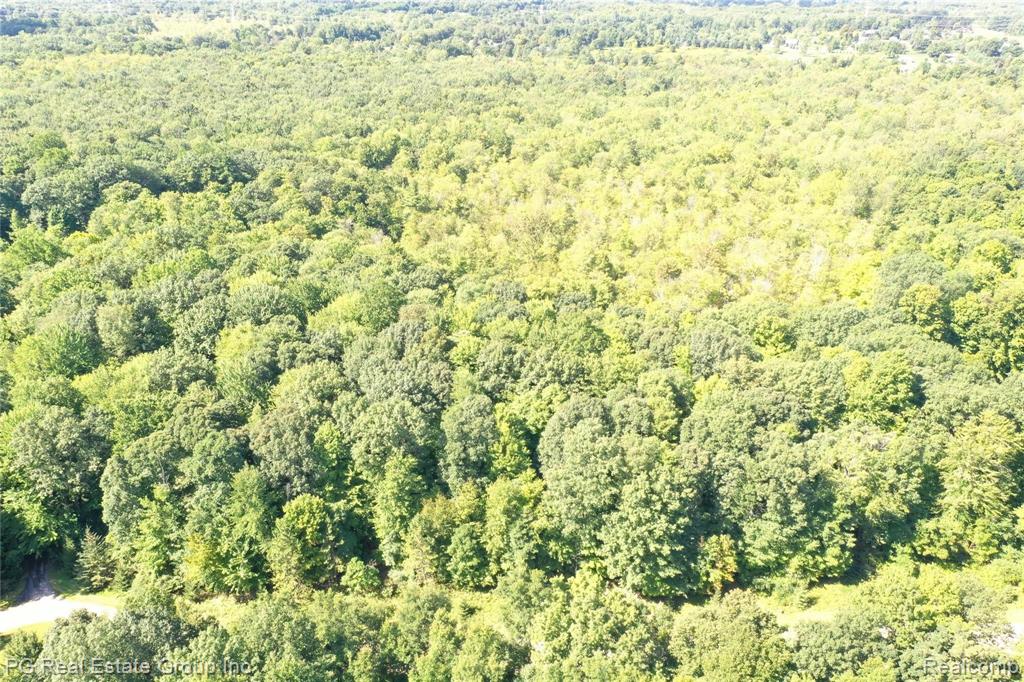 0 Charitoo Ridge Leonard, MI 48367 - Photo 11 of 34