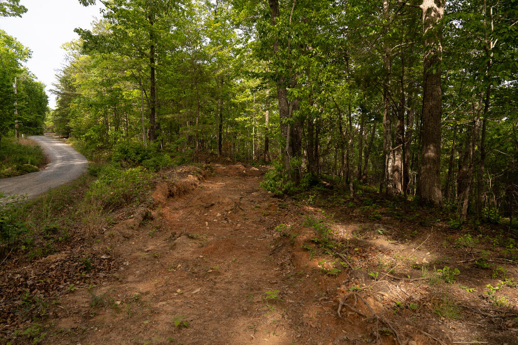 1 Century Lane Blue Ridge, GA 30513 - Photo 30 of 54 Gallery Image 30