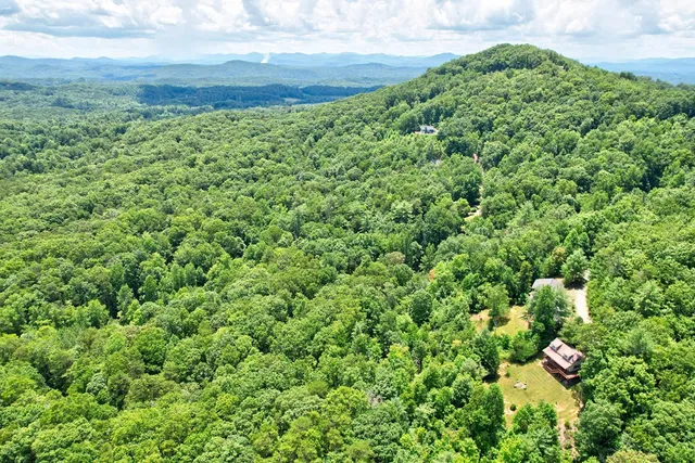 $350,000 | 705 Hickory Drive, Mineral Bluff, GA 30559