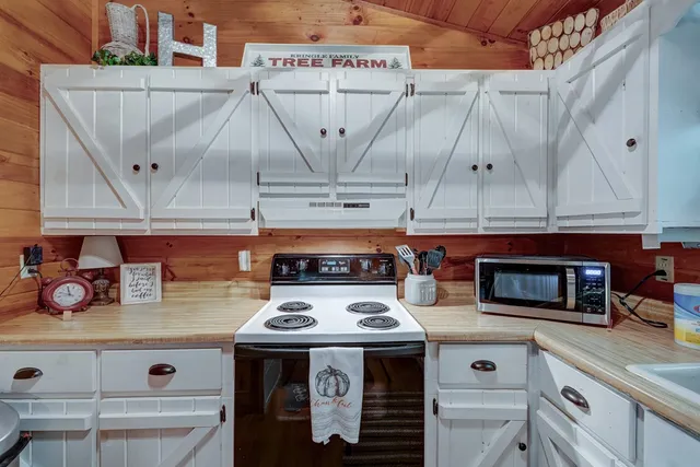 $350,000 | 705 Hickory Drive, Mineral Bluff, GA 30559