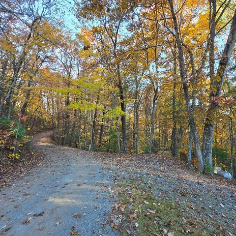 $350,000 | 705 Hickory Drive, Mineral Bluff, GA 30559