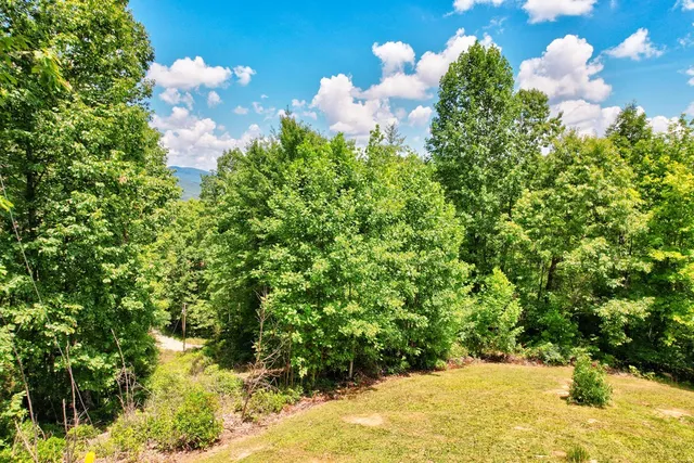 $350,000 | 705 Hickory Drive, Mineral Bluff, GA 30559