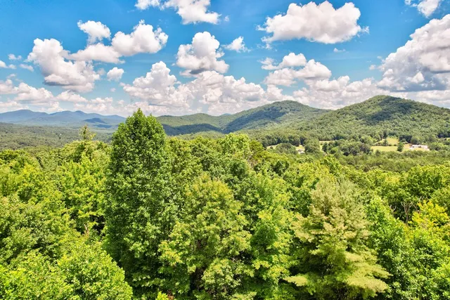 $350,000 | 705 Hickory Drive, Mineral Bluff, GA 30559