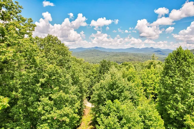 $350,000 | 705 Hickory Drive, Mineral Bluff, GA 30559