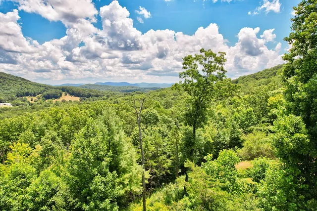 $350,000 | 705 Hickory Drive, Mineral Bluff, GA 30559