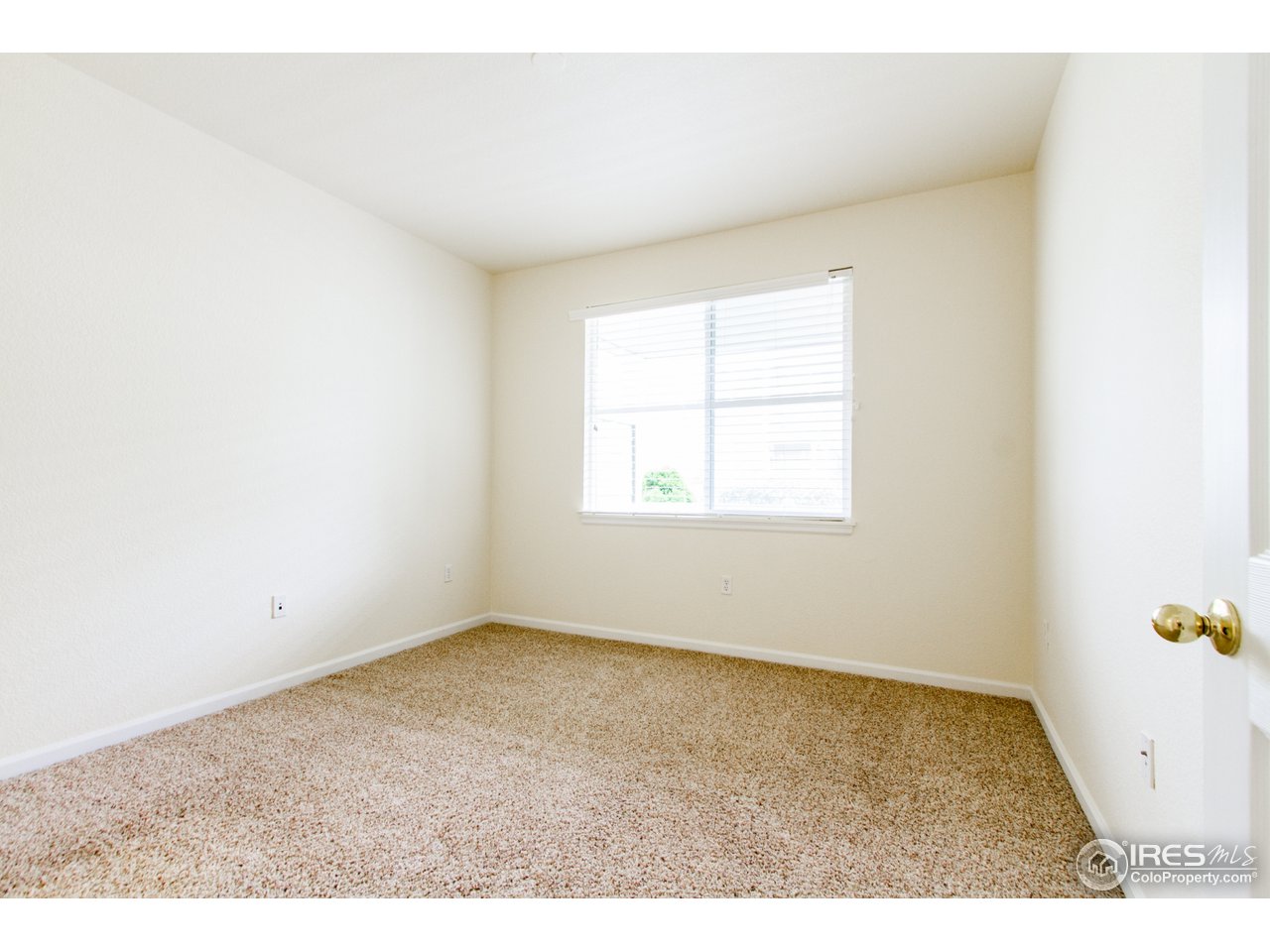 4501 Nelson Road, Unit 2103 Longmont, CO 80503 - Photo 8 of 14 Master Bedroom