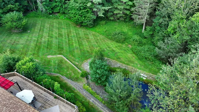 a view of a garden with plants and large trees