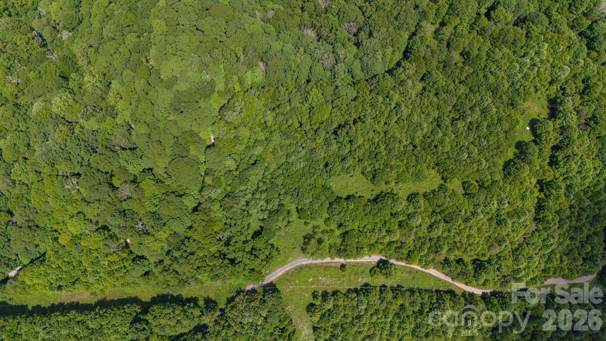 2 Turkey Trot Road Clyde, NC 28721 - Photo 29 of 48