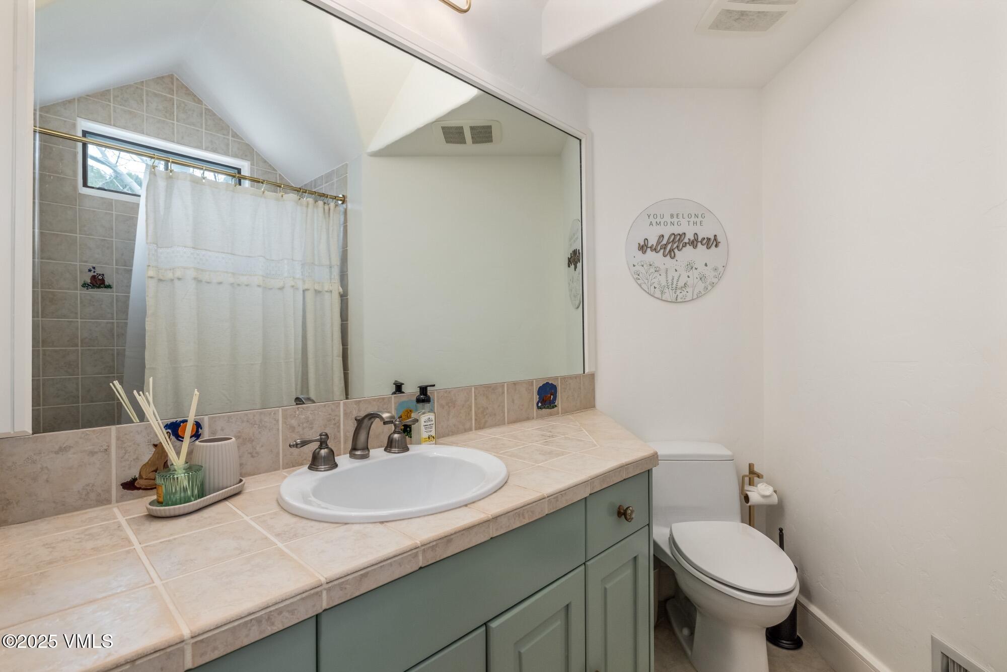 1122 Red Draw Edwards, CO 81632 - Photo 40 of 54 a bathroom with a granite countertop sink a toilet and a mirror